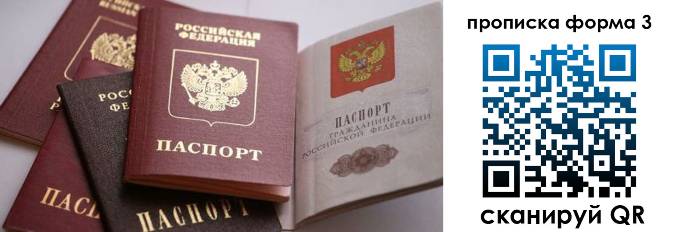 прописка для школы в Лисках
